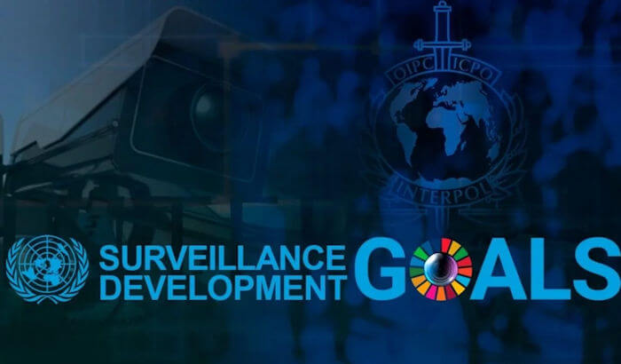Surveillance development goals