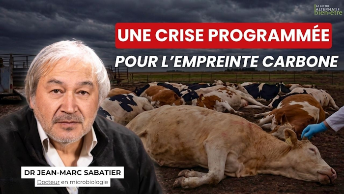 Image de l’article