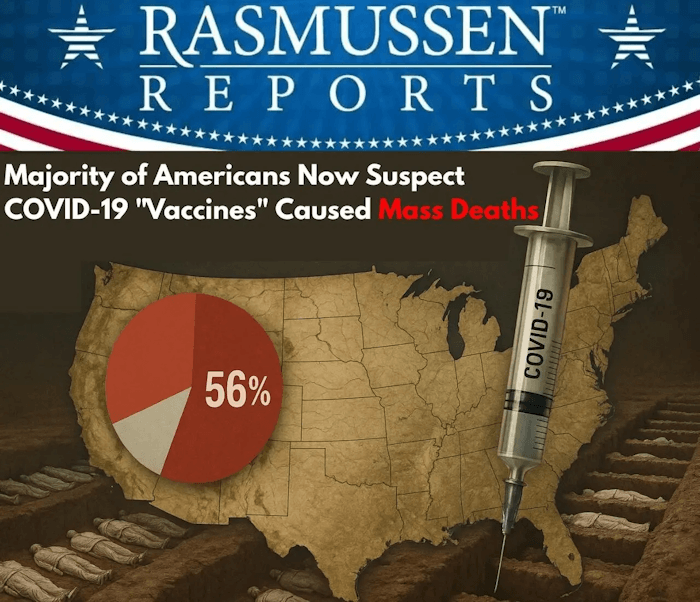 Image de l’article