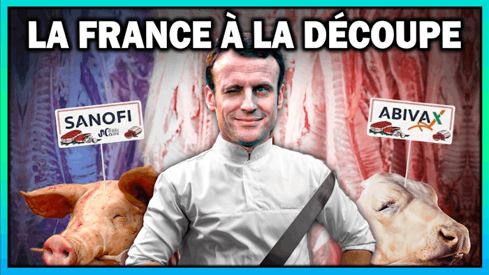 🚨 ALERTE : La France vend ses fleurons stratégiques les uns après les autres... (MoneyRadar)